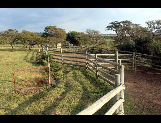 367HA FARM FOR SALE IN KOMGA